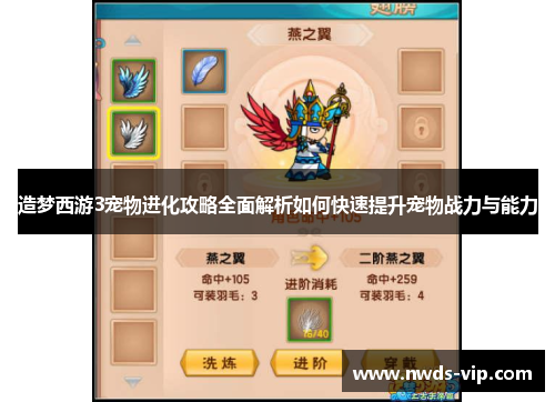 造梦西游3宠物进化攻略全面解析如何快速提升宠物战力与能力