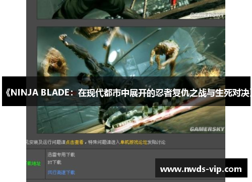 《NINJA BLADE：在现代都市中展开的忍者复仇之战与生死对决》